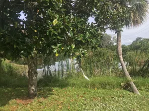 Image of The Lake View