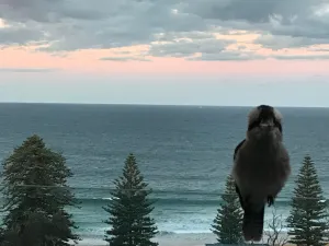 Image of Blue Seas Villa, Sth Avoca Magnificent Beach & Ocean Views