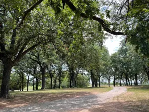 Image of Oak tree retreat