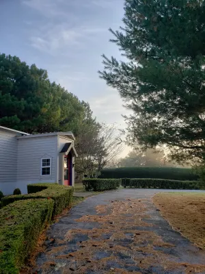 Image of Piney Woods Cottage