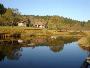 Image of "LE PETIT THOLY" GITE in the heart of the Hautes Vosges