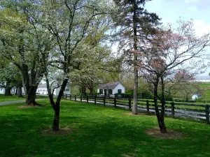 Image of Cottage Retreat - Wine, Horses, Convenient