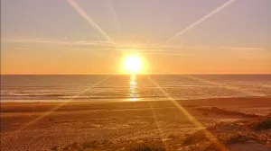 Image of Seignosse le Penon apartment - walking distance to shops and beaches