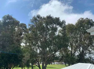 Image of Water View Apartment