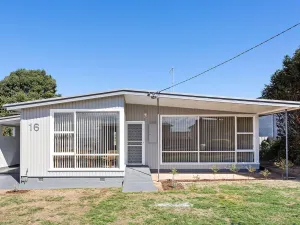 Image of Devonport's Relax at Manning