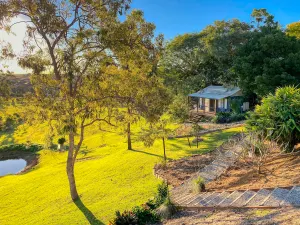 Image of Hidden Valley Cottage amongst the kangaroos.