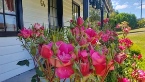 Image of Ingleson cottage