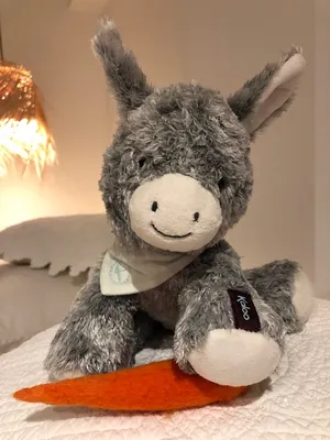 Image of Le Refuge de l'Âne Carotte Aubagne-Cassis-Aix en Provence