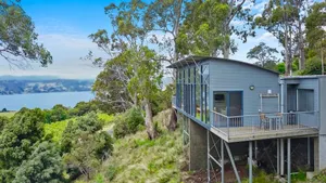 Image of Tranquility Amongst The Trees