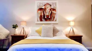 Image of 'Tamworth's Hidden Gem'