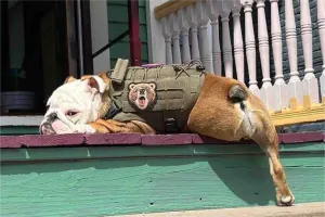 Image of Laverne’s Lodge