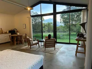 Image of Birds Heaven Mareeba ‘Scarlet Gum’