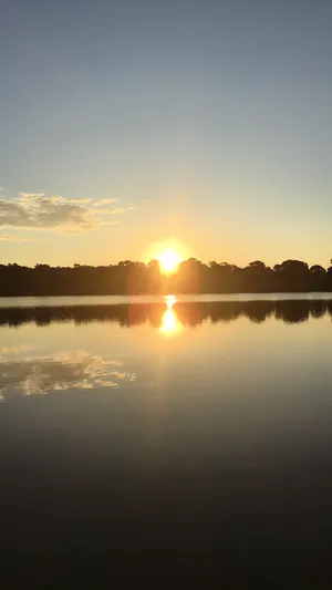 Image of Peaceful retreat in the city