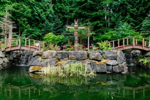 Image of Chuckanut Whispering Falls Carriage House