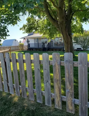 Image of Freedom Farm