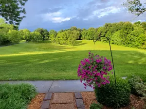 Image of Friendship Farm