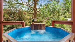 Image of Tree Tops Luxury Studio