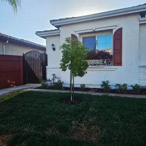 Image of Pinewood Haven Getaway