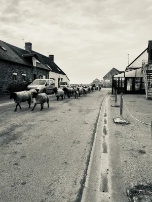 Image of Gîte La Mouette de 4 personnes