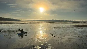 Image of Relaxed Lake Front Cottage~Pet Friendly