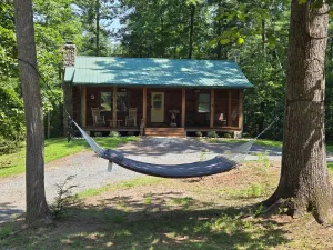 Image of Kovi Bear Cabin ~ Woodland hiking/biking trails!