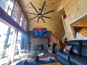 Image of Cabin in the treetops!