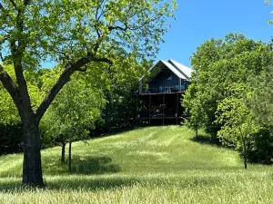 Image of Secluded & peaceful, treetop cabin retreat
