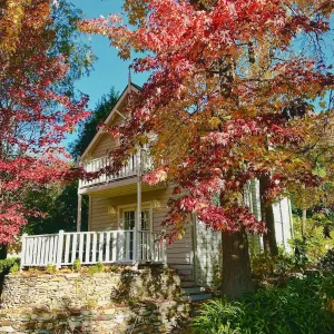 Image of Aldgate Creek Cottage