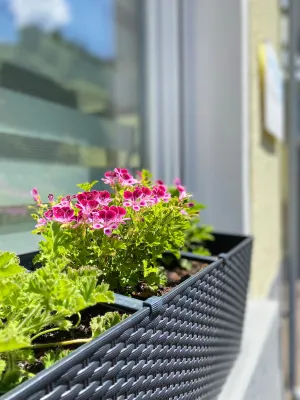 Image of "Haus Bella"