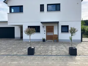 Image of Modern wooden style apartment close to the nature