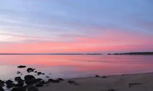 Image of Curtis Dream Cottage