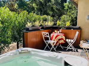 Image of Romantic Carmel Valley Casita & Hot Tub! Tax Incld