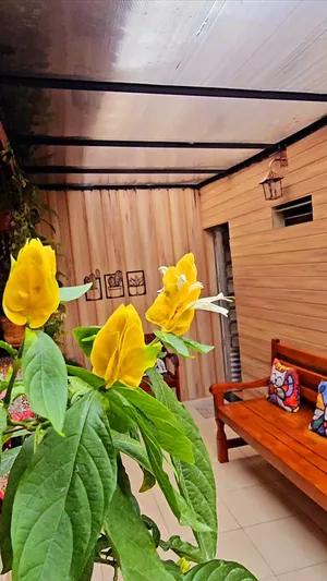 Image of Oh, what a tight place!