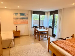 Image of Big Apartment with garden Rapperswil-Jona