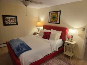 Image of Wild Dandelion Suite with Bikes