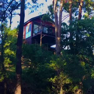 Image of Beautifully Elevated Treehouse Apartment