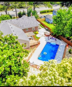 Image of Wooded Wonderland