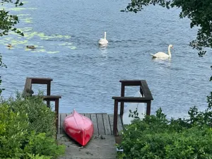 Image of Spacious House on Long Pond - kayaks