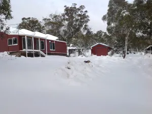 Image of Beds On Berry