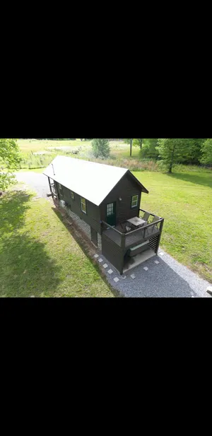 Image of The Bird house