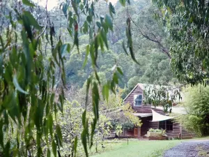 Image of The Barn - 5 Acres of Idyllic Bushland With Views