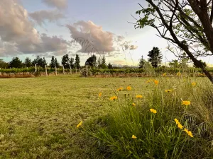 Image of The Vigneron's Cottage at Dragonfly Estate Vineyard - Stanthorpe