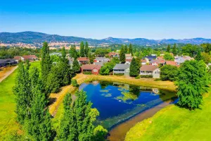 Image of Golden Rule Cottage-Pond view