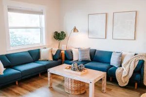 Image of Private Yard Walk to Downtown Dunedin and Waterfront Barefoot Parrot 2