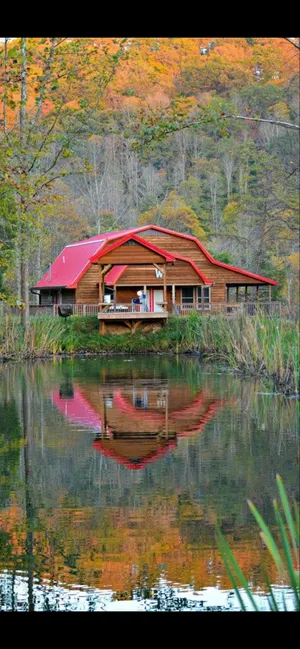 Image of THE LUXURY CABIN IN THE WOODS