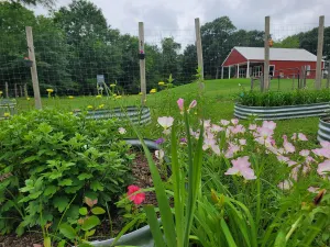 Image of Red Barn Retreat