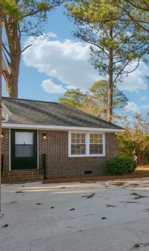 Image of Night at the Cinema