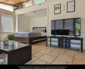 Image of Tortoise Studio