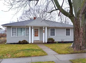 Image of Kozy in Kokomo