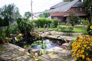 Image of Koi Kondo - Apt A